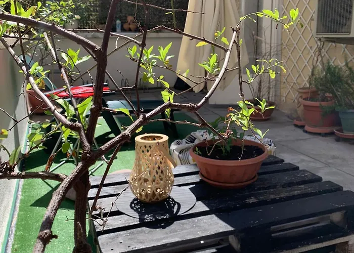 بيت ضيافة Smart *